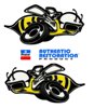 1971 Dodge Charger Super Bee Quarter Panel Bees Decal  (set of two)